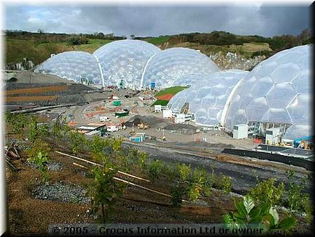 eden project construction				